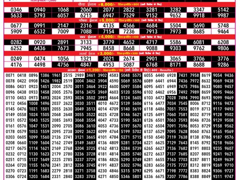 Rajshree 500 Monthly Lottery Result 12 May 2026 Rajshree Lottery Result Today