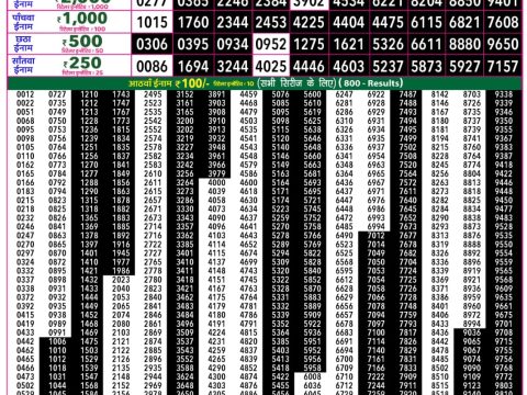 Rajshree Lottery Result Today