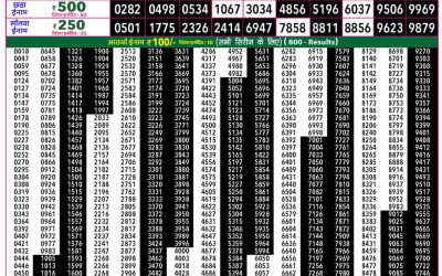 Rajshree 50 Ravi Weekly Lottery 7:30pm Result 03 May 2026