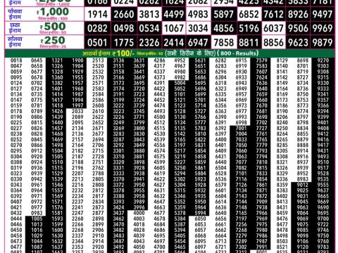 Rajshree Lottery Result Today