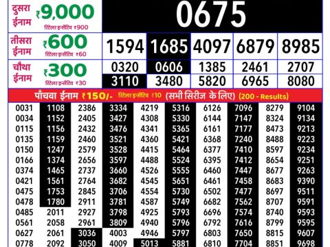 Rajshree Orchid Weekly Lottery 4pm Result 09 May 2026 Rajshree Lottery Result Today