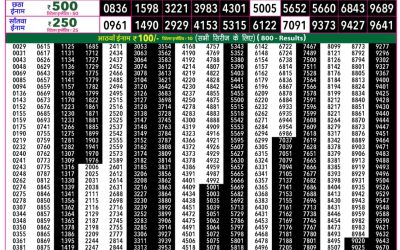 Rajshree 50 Shani Weekly Lottery 7:30pm Result 09 May 2026