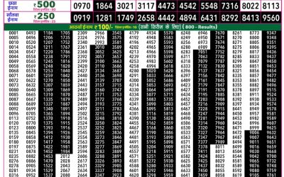 Rajshree 50 Ravi Weekly Lottery 7:30pm Result 10 May 2026