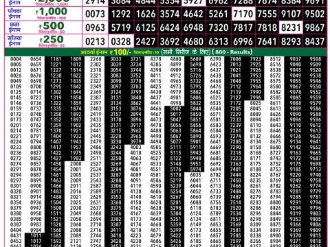 Rajshree Lottery Result Today