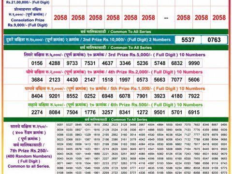Rajshree Lottery Result Today