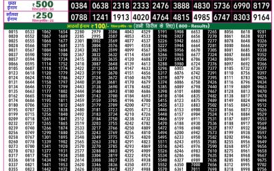 Rajshree 50 Ravi Weekly Lottery 7:30pm Result 17 May 2026