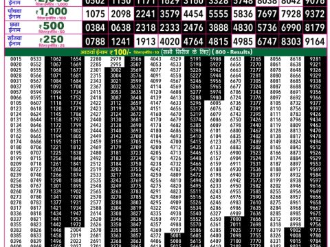 Rajshree Lottery Result Today