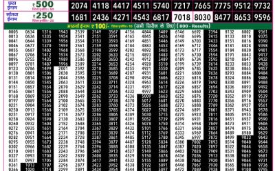 Rajshree 50 Ravi Weekly Lottery 7:30pm Result 24 May 2026