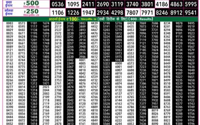 Rajshree 50 Guru Weekly Lottery 7:30pm Result 28 May 2026