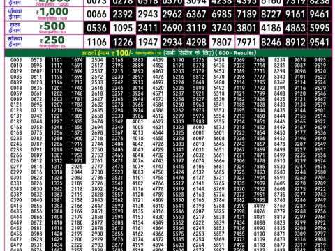 Rajshree 50 Guru Weekly Lottery 7:30pm Result 28 May 2026 Rajshree Lottery Result Today
