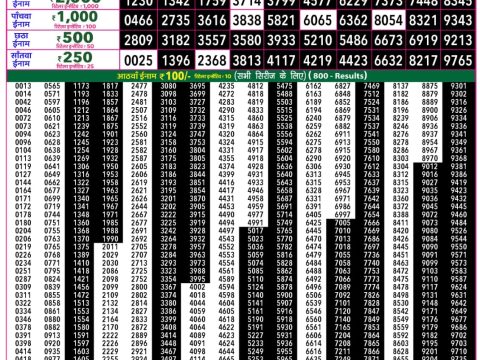 Rajshree Lottery Result Today