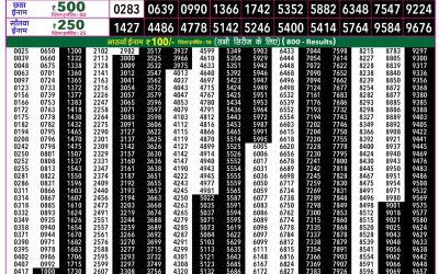 Rajshree 50 Ravi Weekly Lottery 7:30pm Result 31 May 2026