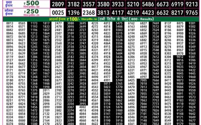 Rajshree 50 Shani Weekly Lottery 7:30pm Result 30 May 2026