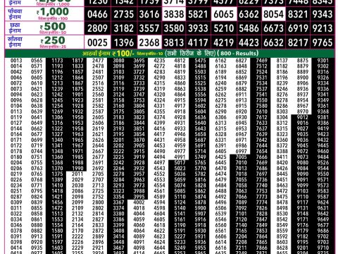 Rajshree Lottery Result Today
