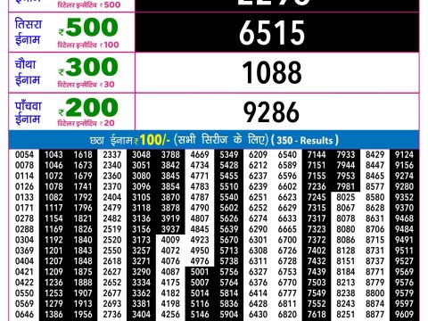 Rajshree Lottery Result Today