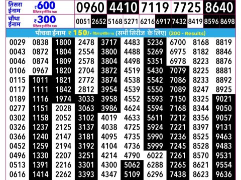 Rajshree Lottery Result Today