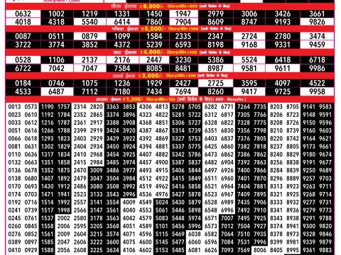 Rajshree 500 Monthly Lottery Result 9 June 2026 Rajshree Lottery Result Today