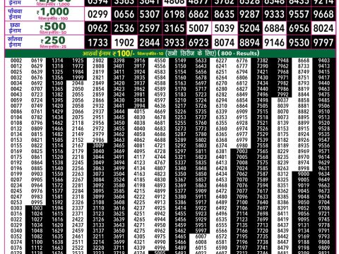Rajshree Lottery Result Today