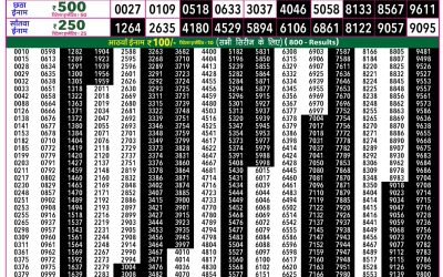 Rajshree 50 Ravi Weekly Lottery 7:30pm Result 28 June 2026