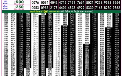 Rajshree 50 Ravi Weekly Lottery 7:30pm Result 21 June 2026