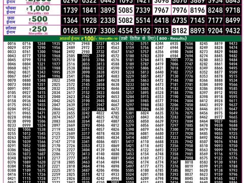 Rajshree Lottery Result Today