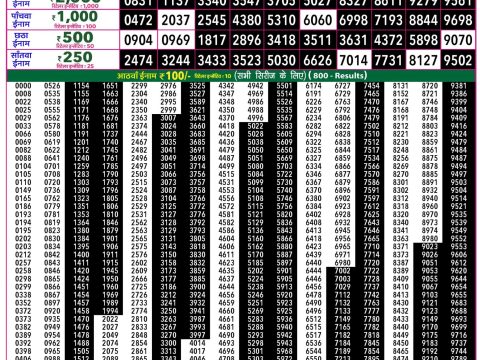 Rajshree Lottery Result Today