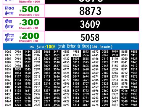 Rajshree Night Shani Weekly Lottery 9pm Result 20 June 2026 Rajshree Lottery Result Today