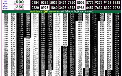Rajshree 50 Guru Weekly Lottery 7:30pm Result 25 June 2026