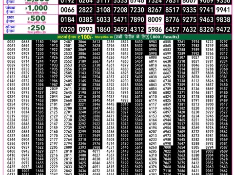 Rajshree Lottery Result Today