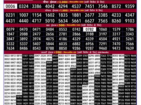 Rajshree Lottery Result Today