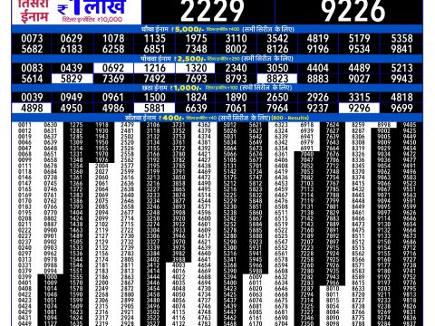 Rajshree 300 Monthly Lottery Result 16 June 2026 Rajshree Lottery Result Today