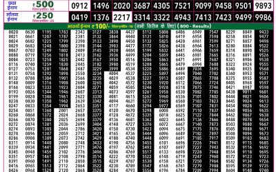 Rajshree 50 Shani Weekly Lottery 7:30pm Result 13 June 2026