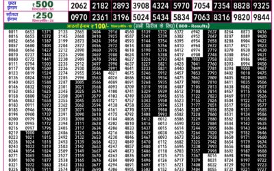 Everest Lottery Result Today Rajshree 50 Guru Weekly Lottery 7:30pm Result 30 July 2026
