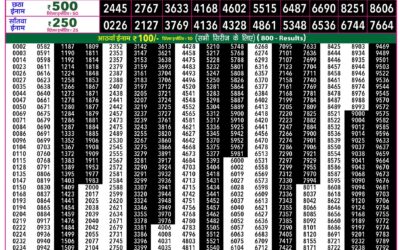 Everest Lottery Result Today Rajshree 50 Ravi Weekly Lottery 7:30pm Result 26 July 2026