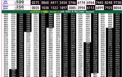 Rajshree 50 Guru Weekly Lottery 7:30pm Result 02 July 2026