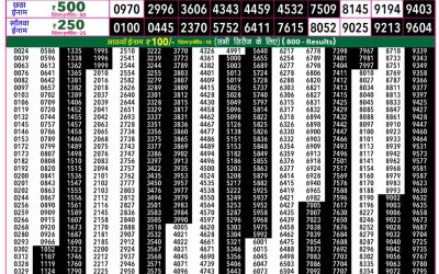 Rajshree 50 Shani Weekly Lottery 7:30pm Result 04 July 2026