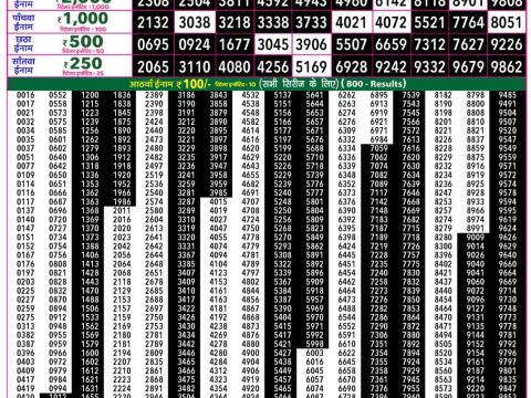Rajshree Lottery Result Today