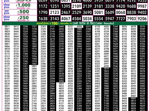 Rajshree 50 Guru Weekly Lottery 7:30pm Result 09 July 2026 Rajshree Lottery Result Today