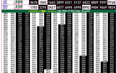 Rajshree 50 Mangal Weekly Lottery 7.30pm Result 14 July 2026