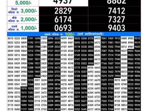 Rajshree Lottery Result Today
