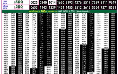 Everest Lottery Result Today Rajshree 50 Shukra Weekly Lottery 7:30pm Result 24 July 2026