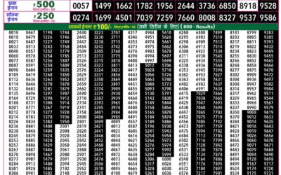 Everest Lottery Result Today Rajshree 50 Shani Weekly Lottery 7:30pm Result 25 July 2026
