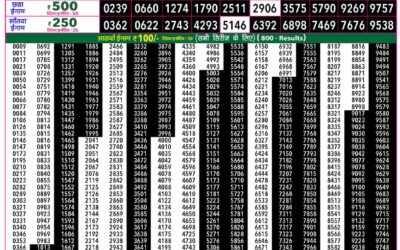 Everest Lottery Result Today Rajshree 50 Mangal Weekly Lottery 7.30pm Result 28 July 2026