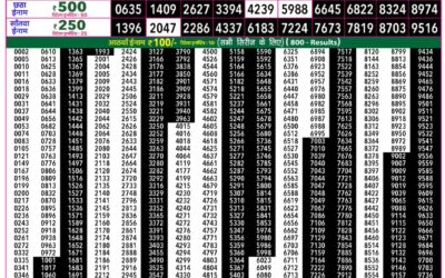 Everest Lottery Result Today Rajshree 50 Budh Weekly Lottery 7:30pm Result 29 July 2026