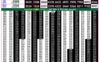 Everest Lottery Result Today Rajshree 50 Shukra Weekly Lottery 7:30pm Result 31 July 2026