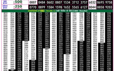 Everest Lottery Result Today Rajshree 50 Shani Weekly Lottery 7:30pm Result 01 August 2026