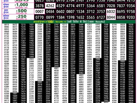 Rajshree 50 Shani Weekly Lottery 7:30pm Result 01 August 2026 Rajshree Lottery Result Today