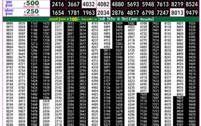 Everest Lottery Result Today Rajshree 50 Ravi Weekly Lottery 7:30pm Result 02 August 2026