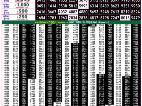 Rajshree 50 Ravi Weekly Lottery 7:30pm Result 02 August 2026 Rajshree Lottery Result Today