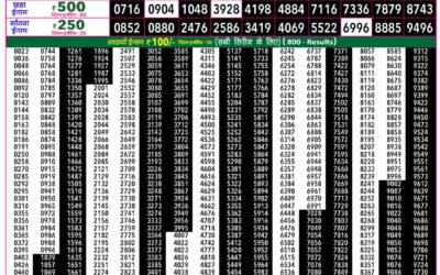 Everest Lottery Result Today Rajshree 50 Mangal Weekly Lottery 7.30pm Result 04 August 2026